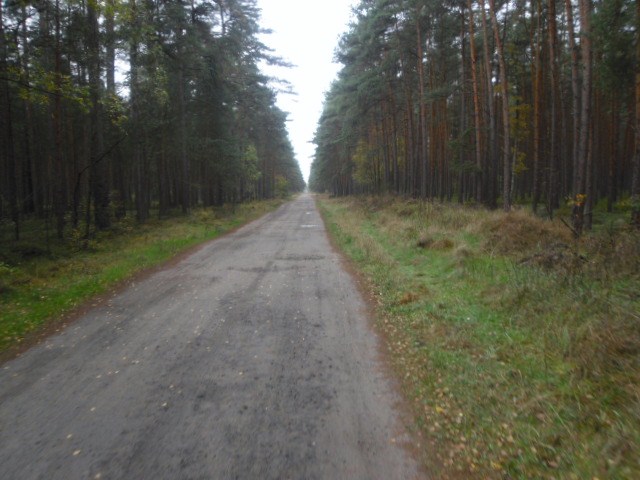 CTF-Permanente Neustaedter Holz 026